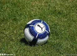 轮赛事仅亮,相两次,国脚级边卫,好博体育,好博体育官网,好博体育官方,好博体育下载