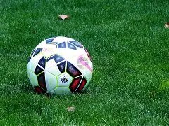 杨幂团队发,布声明驳斥,谣言,好博体育,好博体育官网,好博体育官方,好博体育下载