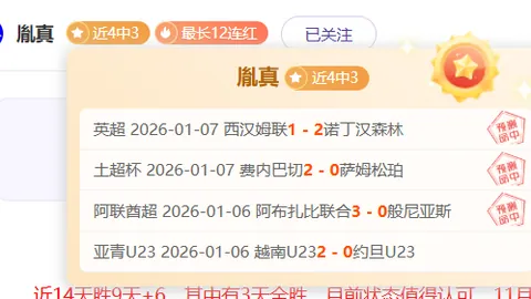 德篮激战落幕！汉堡对决乌尔姆兰蒂奥帕姆，德甲巨头再创辉煌时刻！