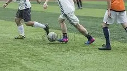 深圳大学乒乓女队获乒超决赛资格孙颖莎助力显著