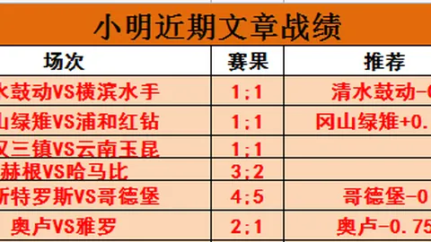 范巴斯滕指导加克波：精准把握，不再错失良机